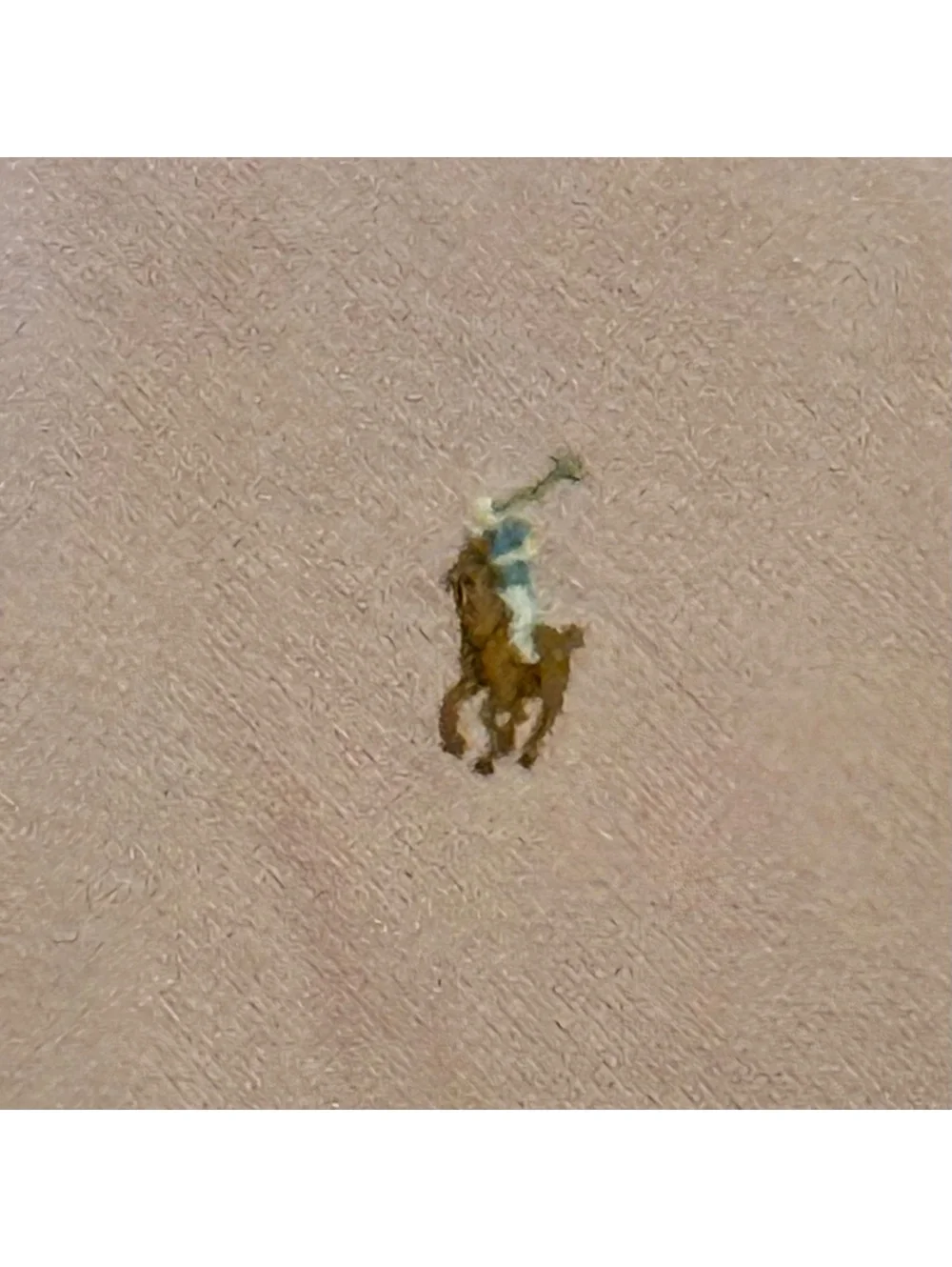 Ralph Lauren this polo